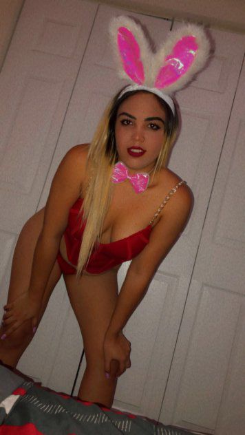 Escorts Miami, Florida Alexa