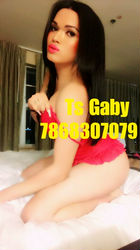 Escorts Miami, Florida Gabyts