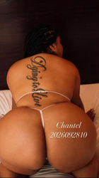 Escorts Washington, District of Columbia Chantel