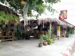 Beer Bar Ko Samui, Thailand Ketum bar