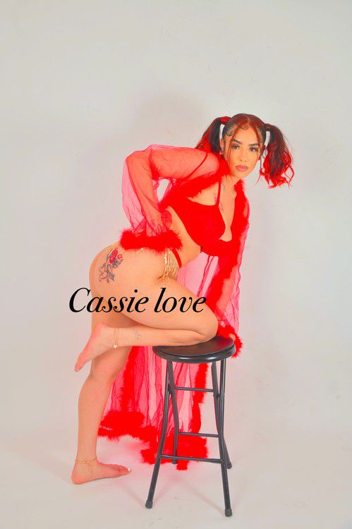 Escorts Cincinnati, Ohio CassieLove