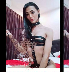 Escorts Chon Buri, Thailand Arissy 69 ladyboy