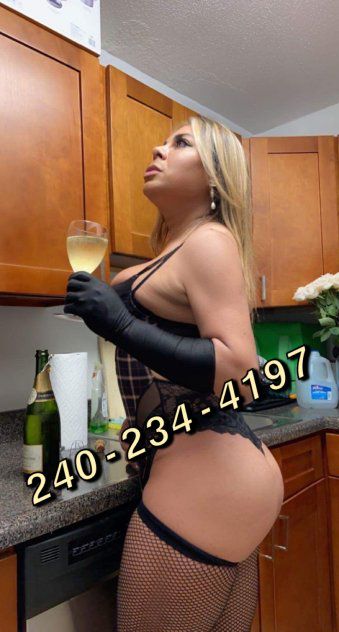 Escorts Vienna, Virginia Nathashaa