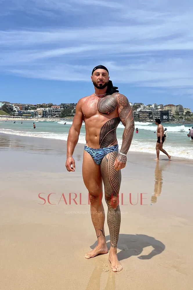 Escorts Sydney, Australia Santiago Dominiguez - male Escort 


