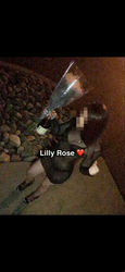 Escorts Schaumburg, Illinois LillyRoseXo