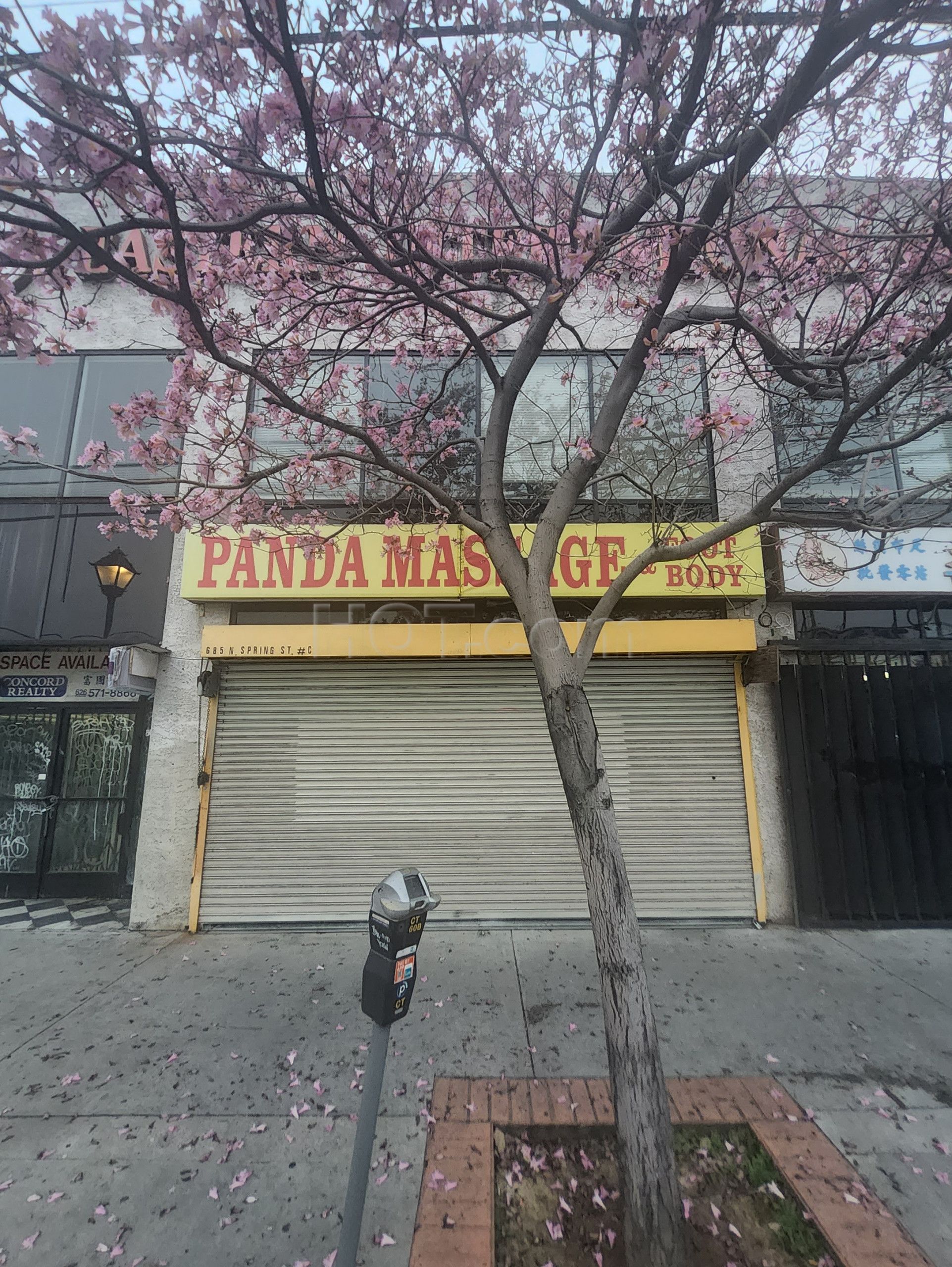 Los Angeles, California Panda Massage