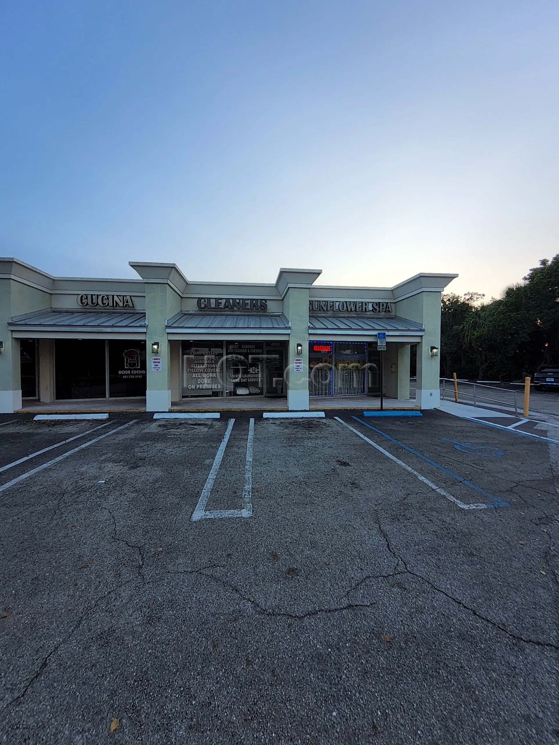 Boynton Beach, Florida Garden Sunflower Spa