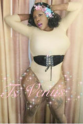 Escorts Miami, Florida VENUSTHEGODDESS