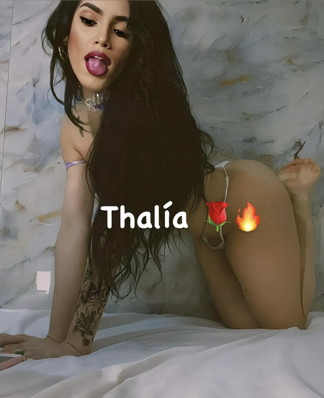 Escorts Tampa, Florida Thalía🌹💵