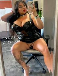 Escorts Corpus Christi, Texas TS DIOSA