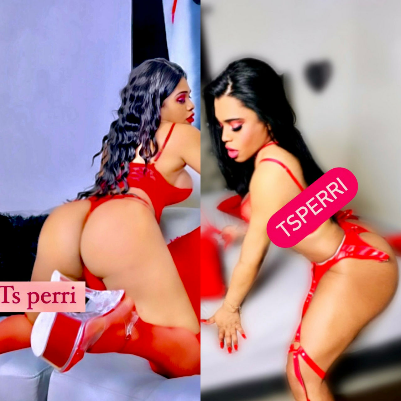 Escorts The Bronx, New York Dominican Sexy Mami