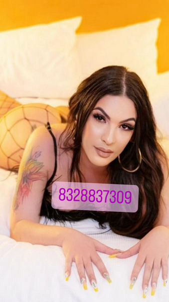 Escorts Sarasota, Florida TS GIA visiting