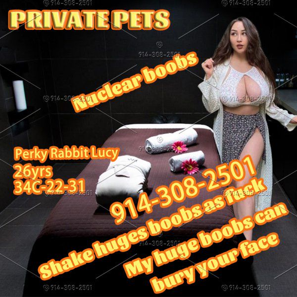 6 Private pets need owner,come to pick them up
         | 

| Los Angeles Escorts  | California Escorts  | United States Escorts | escortsaffair.com