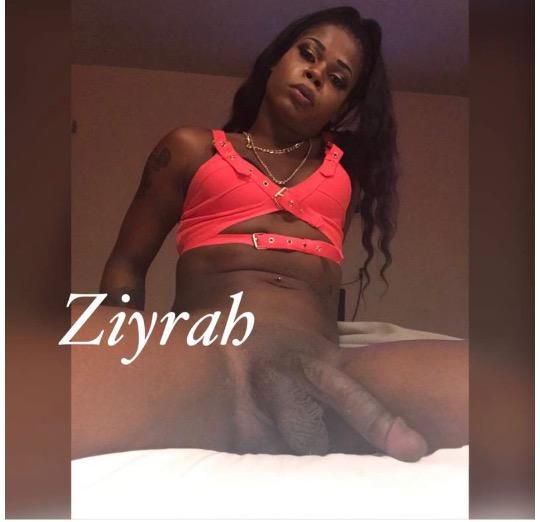 Escorts Shreveport, Louisiana Ziyrah