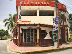 Freelance Bar Punta Cana, Dominican Republic Flamboyan Disco