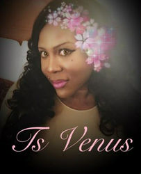 Escorts Miami, Florida VENUSTHEGODDESS