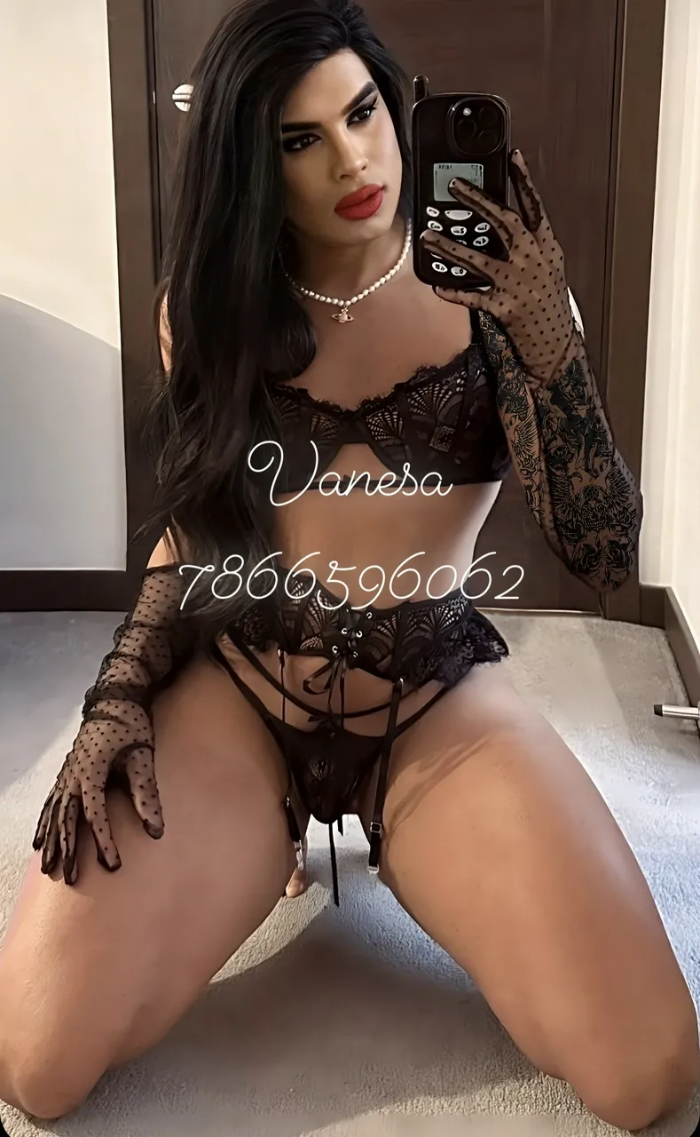 Escorts Tampa, Florida Vanesa 🌹💸