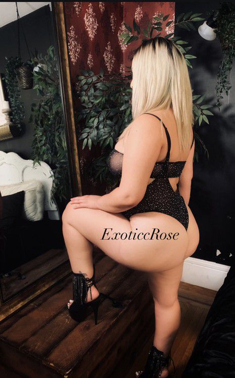 Escorts Rohnert Park, California ExoticcRose