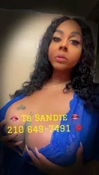 Escorts Dallas, Texas Sandie