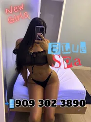 Escorts California BLUE SPA