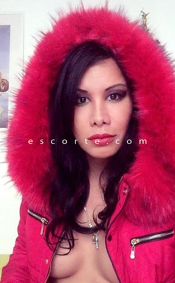 Escorts Paris, France LATINA  XXL