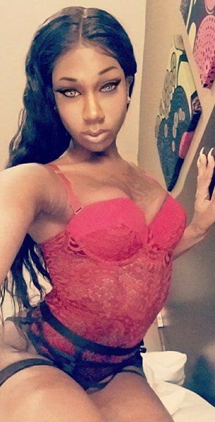 Escorts Gainesville, Florida KING_NYLA