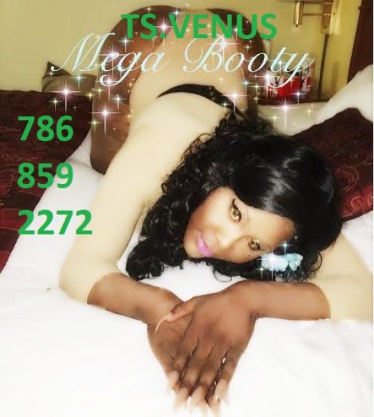 Escorts Miami, Florida VENUSTHEGODDESS