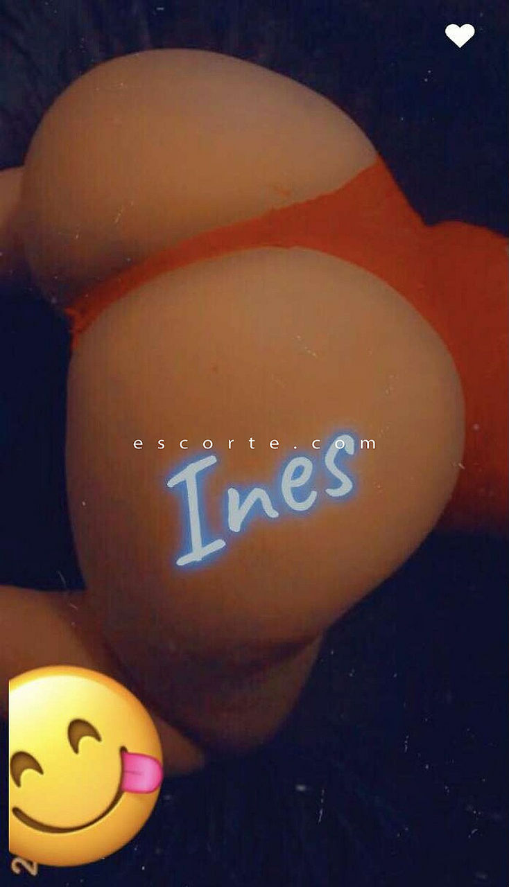 Escorts Valenciennes, France Ines