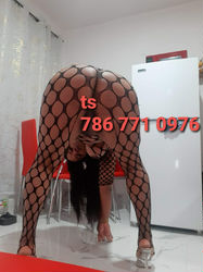 Escorts Houston, Texas Niki 🇩🇴latina 🔥