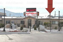 Bordello / Brothel Bar / Brothels - Prive / Go Go Bar Carson City, Nevada Love Ranch North