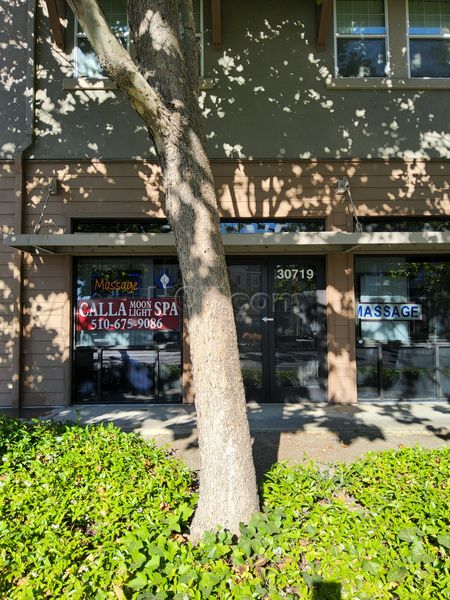 Massage Parlors Union City, California Calla Moon Light Spa