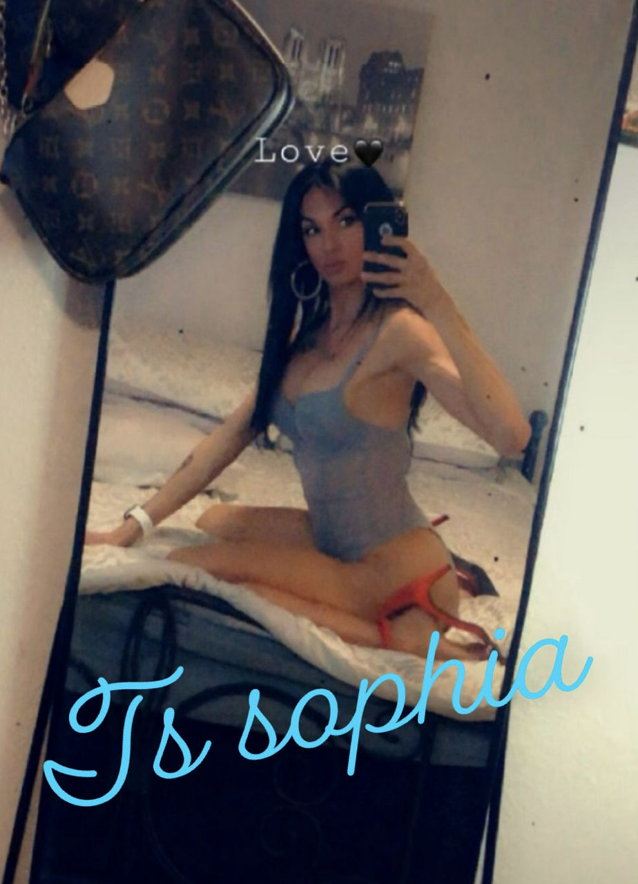 Escorts Austin, Texas TS Sophia