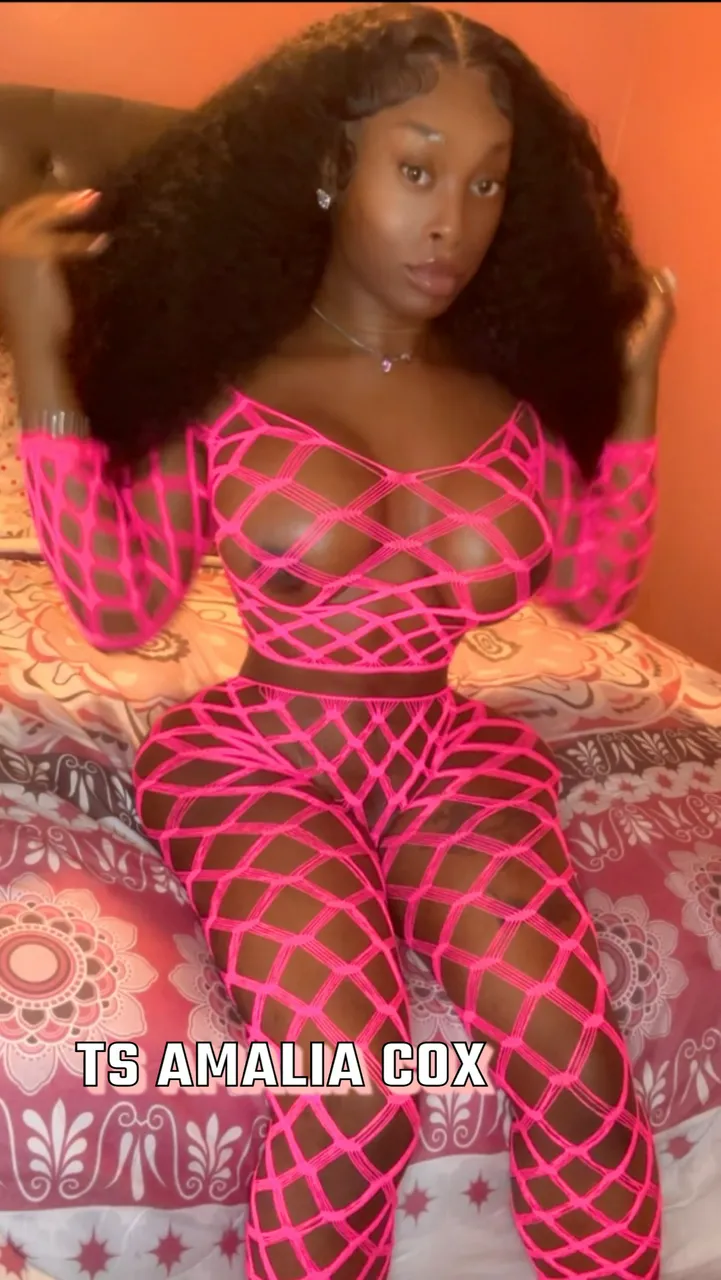 Escorts Elmsford, New York Now