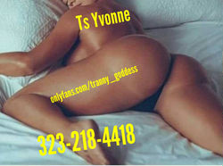 Escorts Los Angeles, California Yvonne⭐⭐⭐⭐⭐