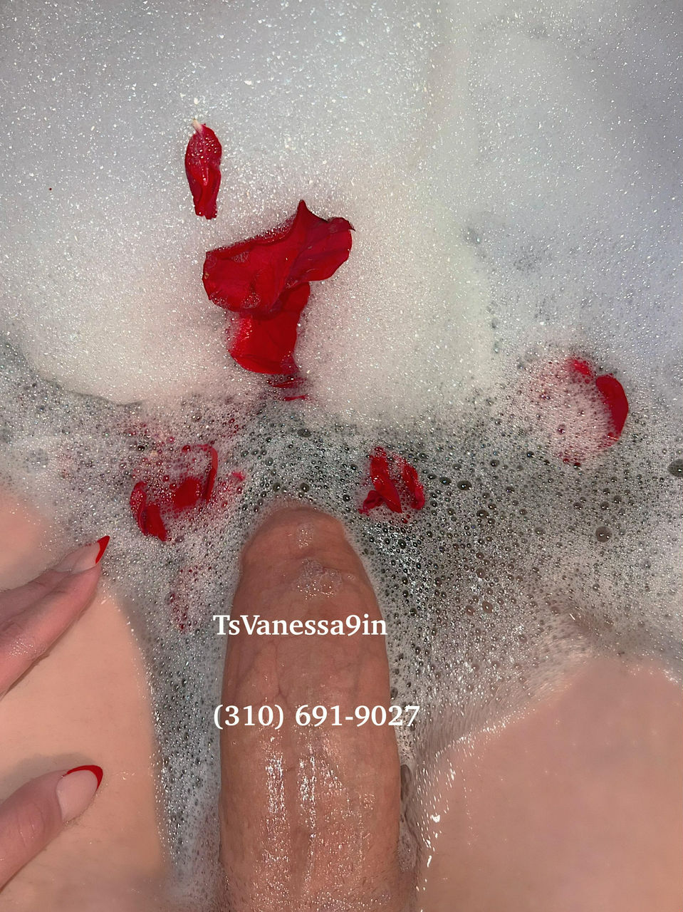 Escorts Tampa, Florida tsvanessa9in