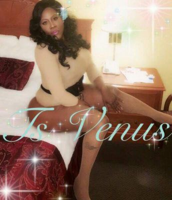 Escorts Miami, Florida VENUSTHEGODDESS