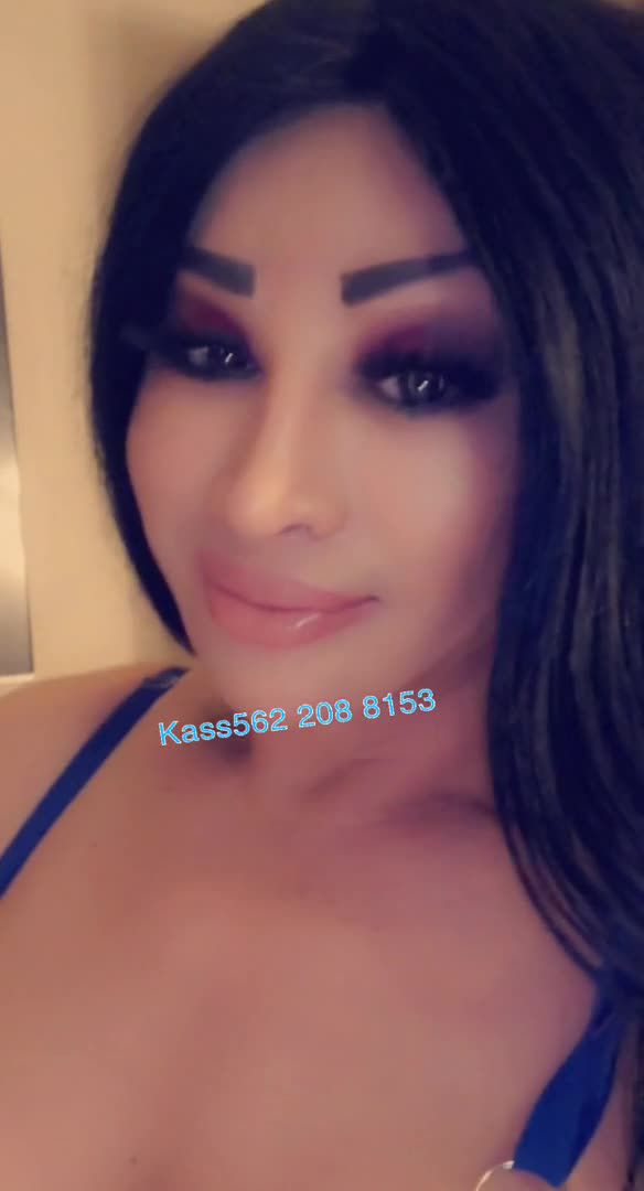 Escorts Seattle, Washington TSKASSMICHELLE