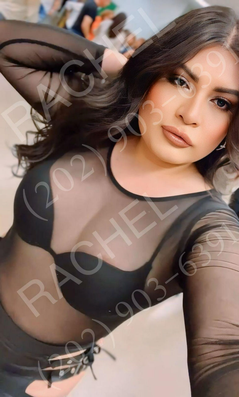 Escorts Silver Spring, Maryland Rachel Silver Spring