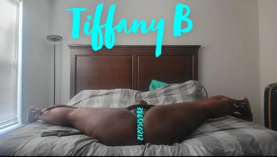 Escorts Okaloo, Florida Tiffany B Heaven