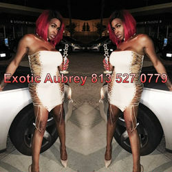 Escorts Chicago, Illinois ExoticAurbey