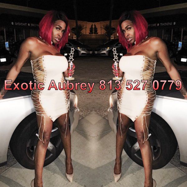 Escorts Chicago, Illinois ExoticAurbey