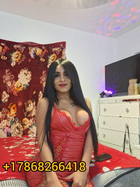 Escorts Miami, Florida Garganta profunda 👄🍑