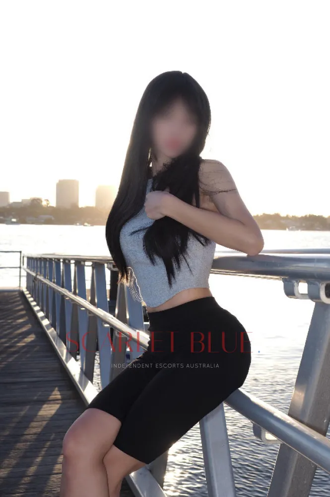 Escorts Hobart, Australia Stephanie An 


