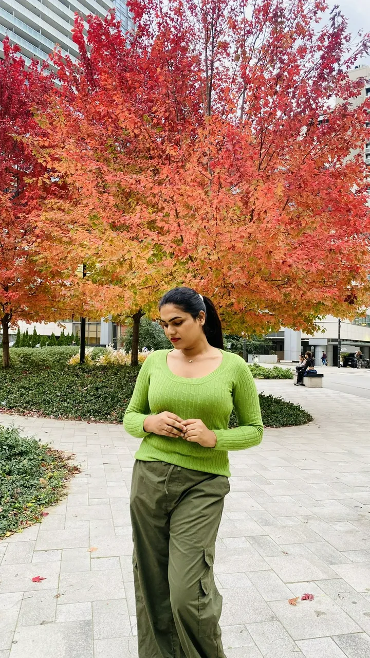 Escorts Toronto, Ontario Nivethitha South Model Toronto