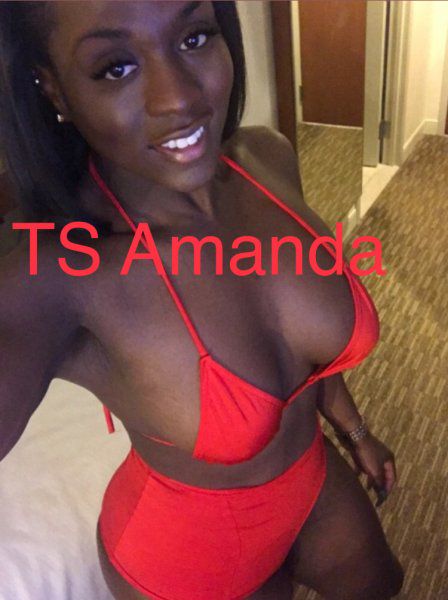 Escorts Norfolk, Virginia AmandaCox