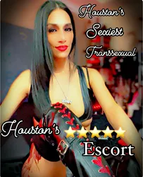 Escorts Houston, Texas Ms.⭐️⭐️⭐️⭐️⭐️