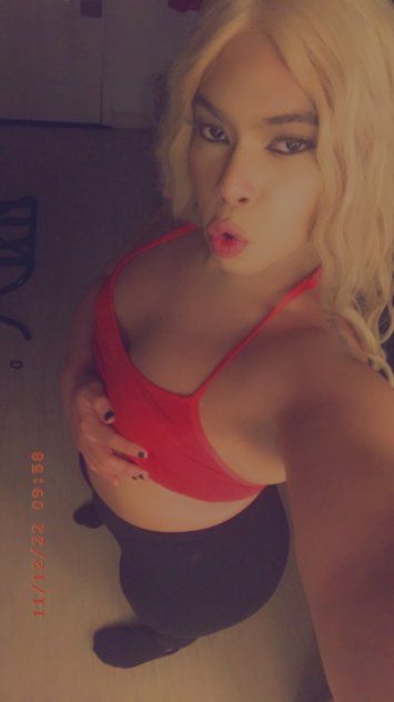 Escorts West Palm Beach, Florida Dreamxx