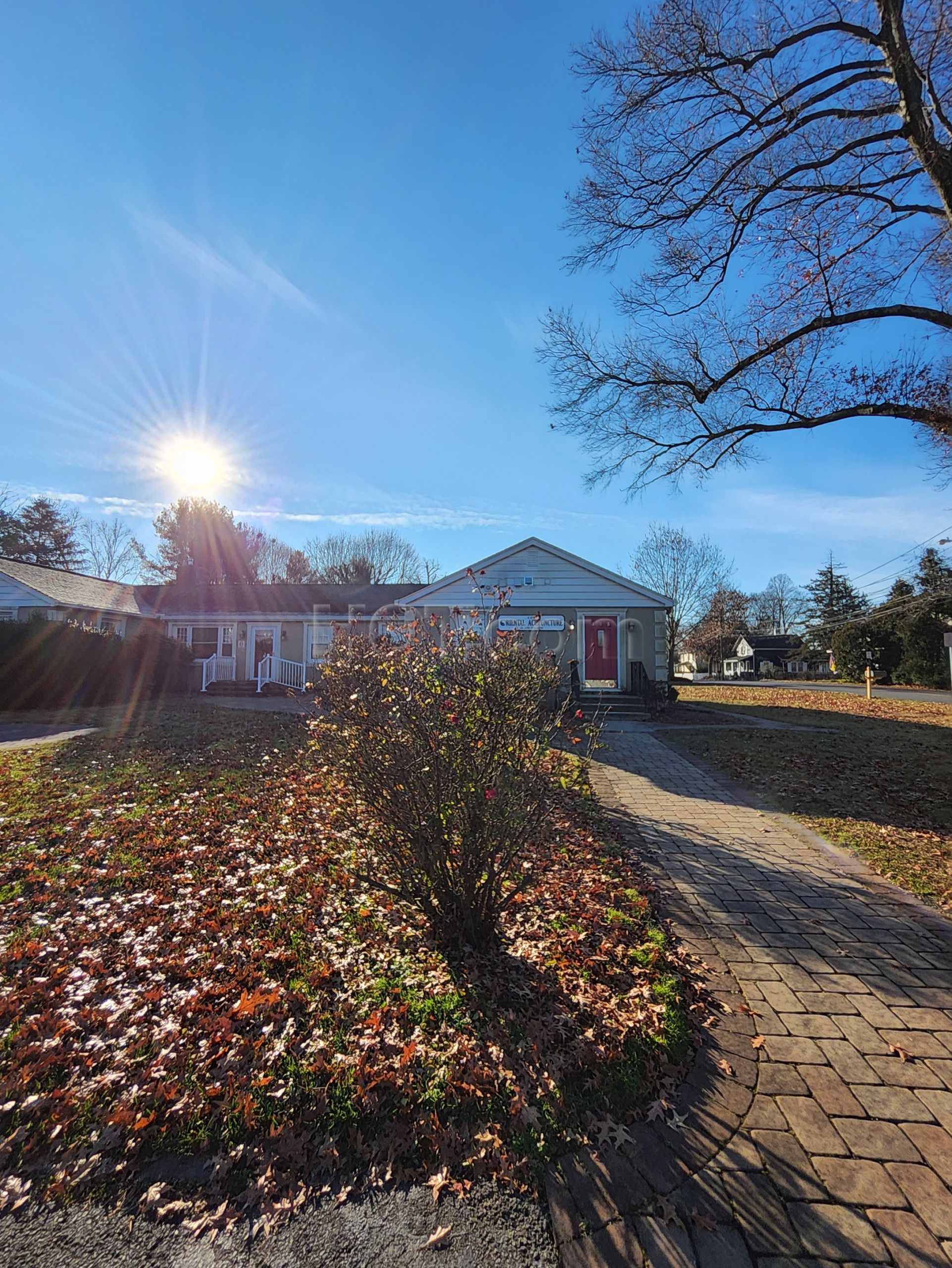 Plainsboro, New Jersey Oriental Acupuncture Health