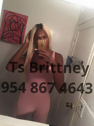 Escorts Miami, Florida PrettyGal