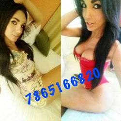 Escorts Miami, Florida Samy